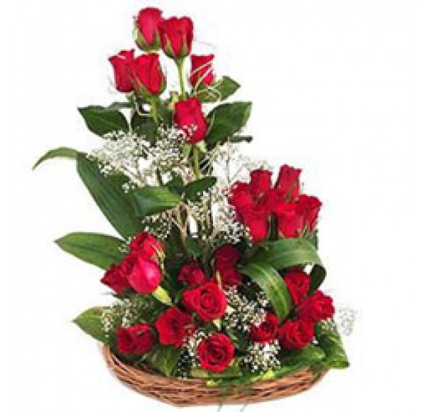 25 Dutch Red Roses in a Basket